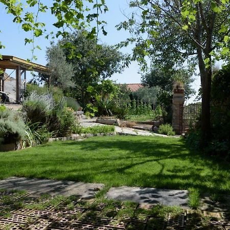 Casa Rural Caenia Grupos Traguntia ภายนอก รูปภาพ