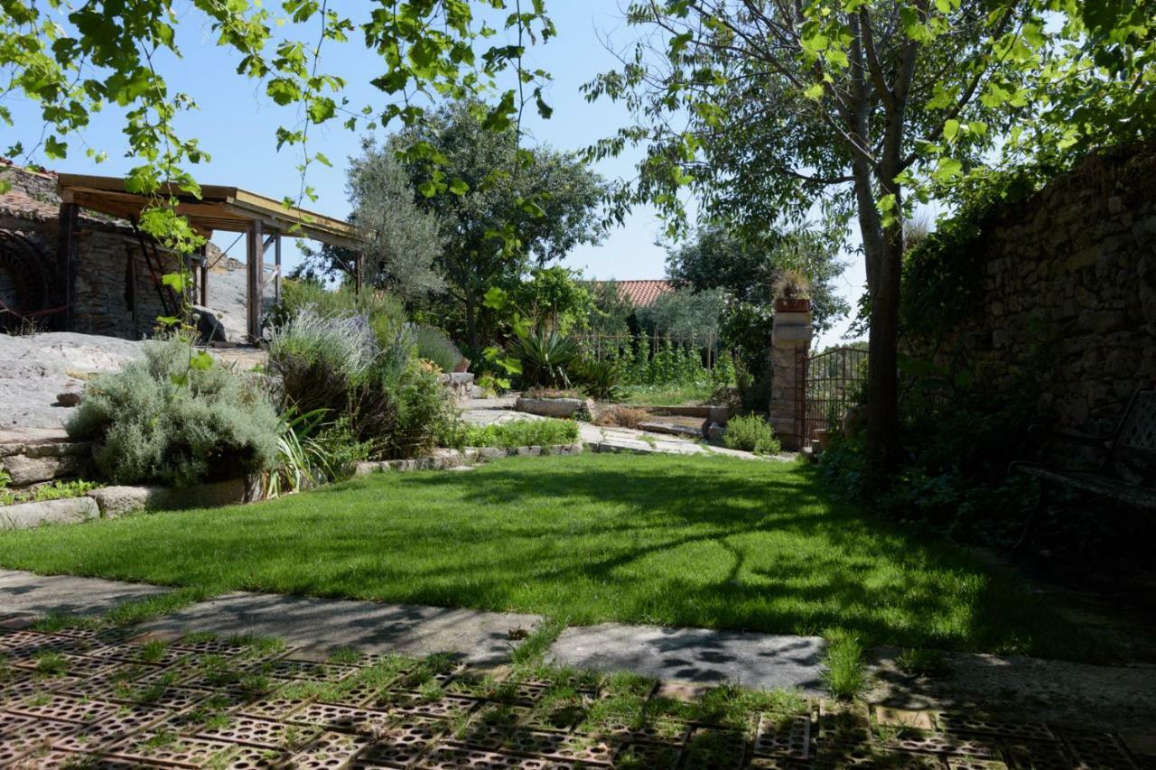 Casa Rural Caenia Grupos Traguntia ภายนอก รูปภาพ